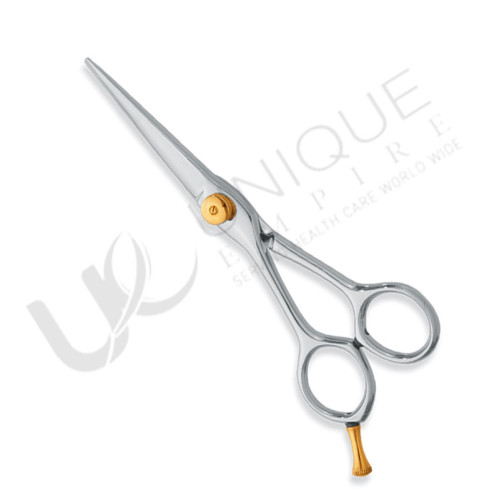 Professional hair Cutting Scissors