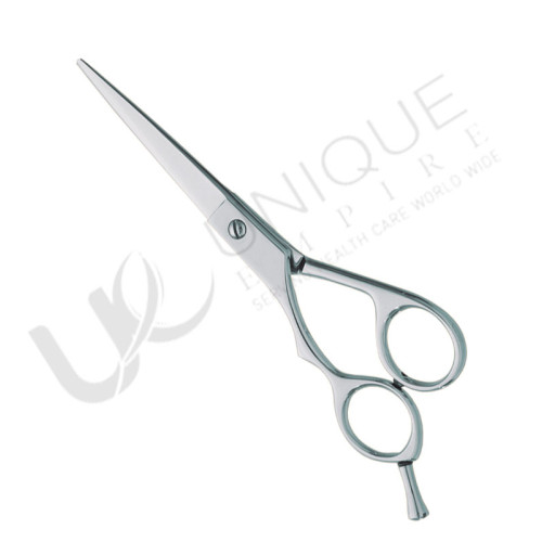 Professional hair Cutting Scissors