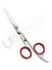 Razor Edge Hair Dressing Scissors