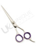 Razor Edge Hair Dressing Scissors