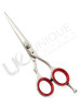 Razor Edge Hair Dressing Scissors