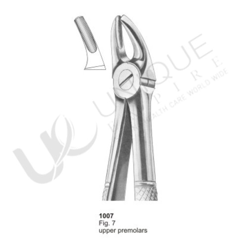 Extracting Forceps