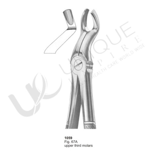 Extracting Forceps