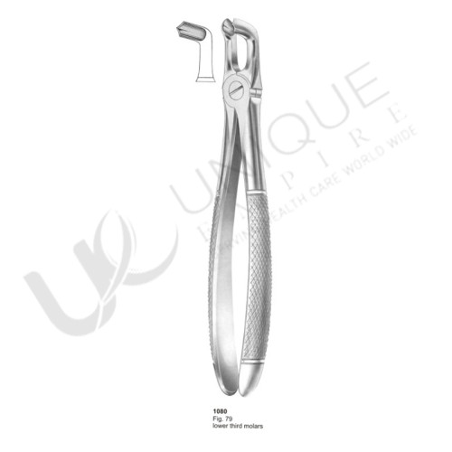 Extracting Forceps