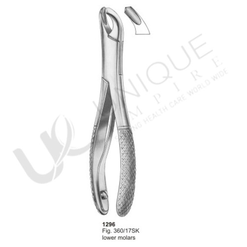 Extracting Forceps