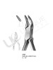 Orthodontic Pliers & Cutters, Rongeurs