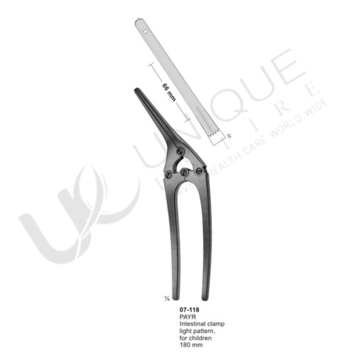 intestinal and Pulorus Clamps