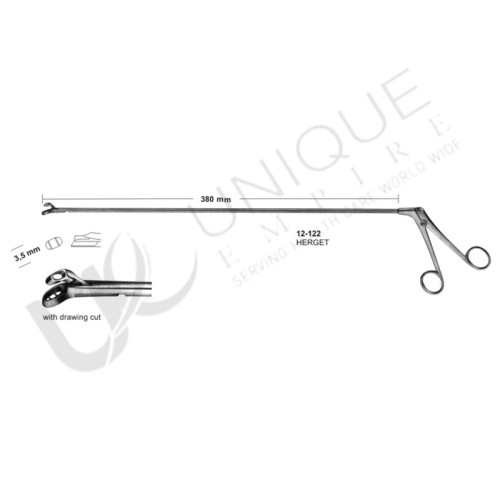 Biopsy forceps for rectum