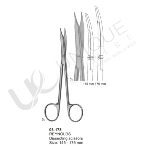 Dissecting Scissors