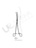 Uterine Dressing Forceps